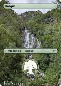 Example card: Bosque